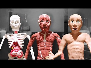 Claymation Builds a Body from the Bones Up
