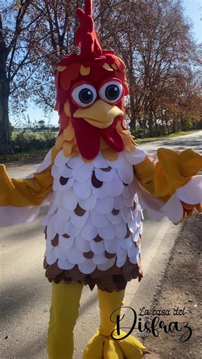 DIY Bartolito Gallo Costume Ideas for Kids