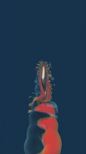 Fish Movement #CFD #Simulation #RANS #DigitalTwin