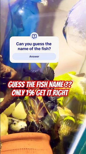 🐟 Guess the Fish Name Challenge! Only 1% Get It Right 😱 #shorts #aquarium