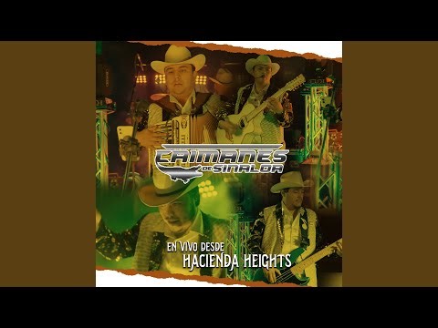 El Bajador (En Vivo)