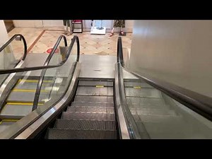 Montgomery KONE Escalators @ Macy's Center City, Philadelphia PA