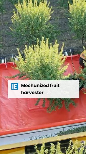 Picking fruits has never been easier. | Interesting Engineering