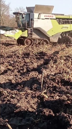 Moissonneuse batteuse Claas lexion 8700 Terra trac