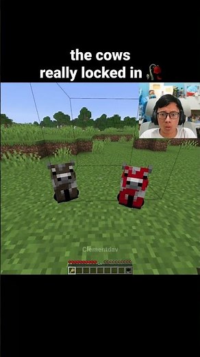 Minecraft Baby Cow Moment