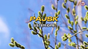 Cara Pengisian PAJSK dalam Sistem IDME