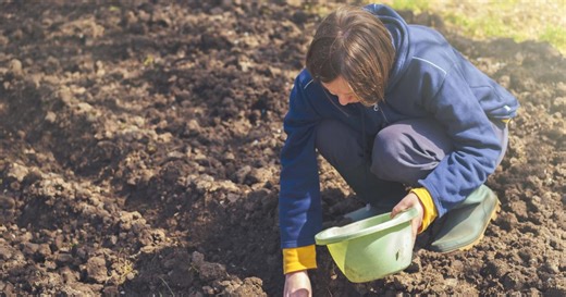 What to do now to prepare your Southern Utah garden for spring