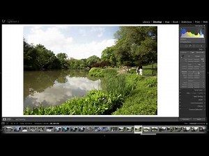 Basic Panel: Adobe Lightroom Tutorial