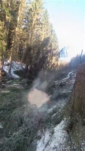 #stihl #fall # free # forest #fyp #viral #winter #music #farming #forestry #excavator #phonk #offroa