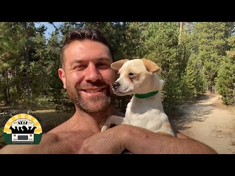 Stella Knew I Had To Bring These Dogs Into Our Lives | The Asher House