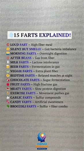 15 Types of Gas Explained 😂 | Funny & Weird Body Facts