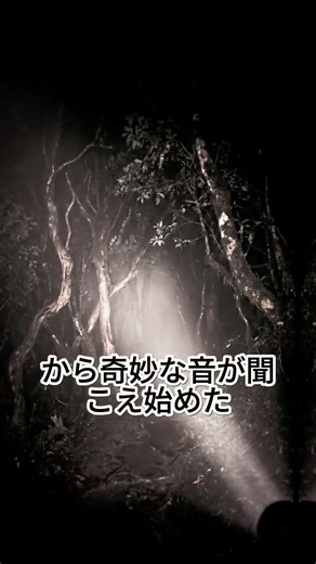 【閲覧注意】夜の山で聞こえる「カン…カン…」という音の正体 🔔🌲