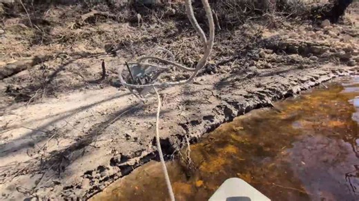 They searched for fossils - then found something stranger in the rocks