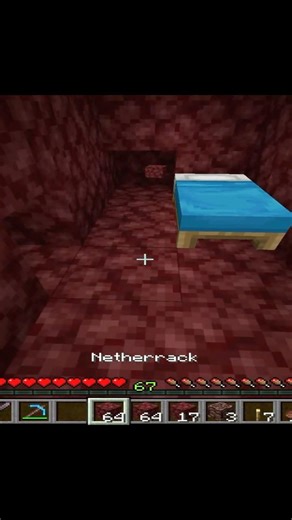 Minecraft Nether Moment #minecraft #shorts