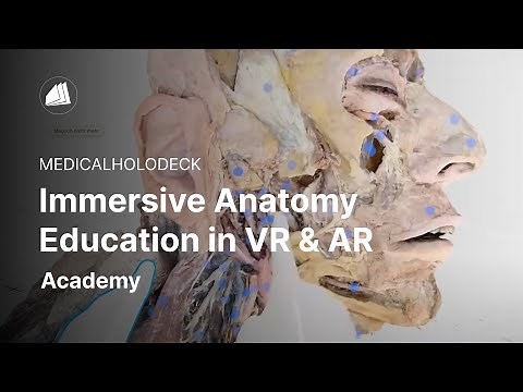 Immersive Anatomy Education in VR and AR | Free Download!