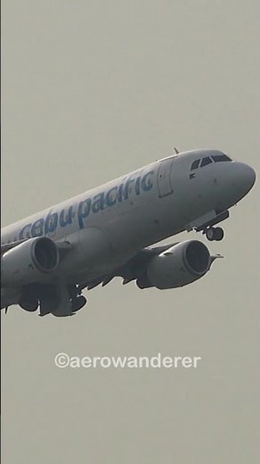 CEBU PACIFIC A320-200 takeoff at Manila airport #shorts #aviation #cebupacific #a320 #a320200