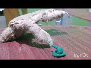 Godzilla vs king Kong 1962 stop motion movie