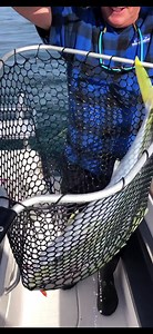 We have discovered a very special combo that seems to perform especially well. Its the Spinder Rod paired with our Knife micro jig. Check out what happens to Mark when he tries it. | Ocean Angler