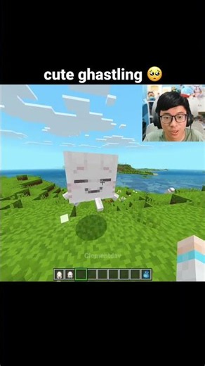 Minecraft Cute Ghastling Moment