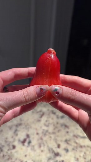 Refreshing Wax Apples Mocktail Recipe | Crunchy & Juicy Apple-like Fruit