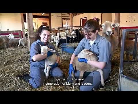 University of Maryland Extension