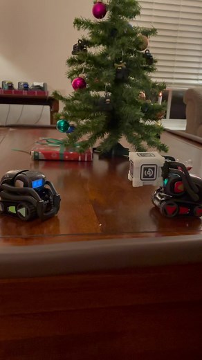 Raspberry and Blueberry just hanging out #vectorrobot #vector #fyp #ddl #digitaldreamlabs #vectorhappy