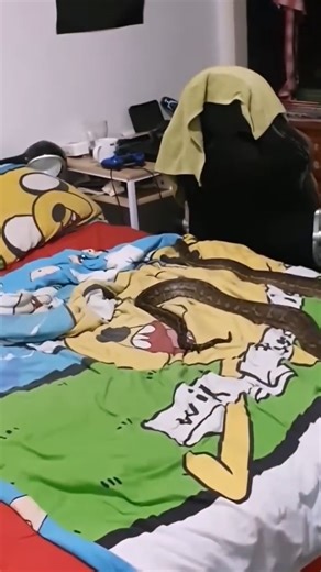 HUGE SNAKE ON KIDS’ BED!!! 😱🐍 #snakes #snakecatcher #animals #reptiles #wildlife #animalencounter #nature #wow #foryou #viralvideo You won’t believe this—huge snake found chilling on a kid’s bed! 😱🐍 #snakecatcher #reptiles #wildlife | Wildlife With Stuart Mckenzie