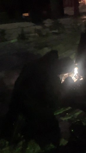 brap brap (@brap.brap365)’s videos with original sound - Prod.Xim