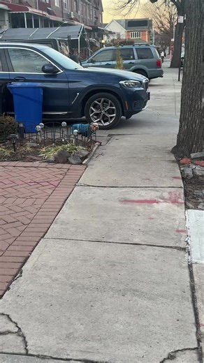 Dog owners problems #Yorkie #DogOwner #SendHelp | yorkie