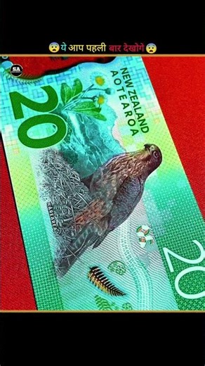 What are the currency of different countries?