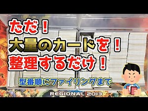 [Just keep on organizing] From organizing model numbers to filing [Just organize your cards]