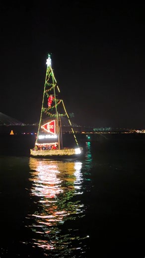 College of Charleston on Instagram: "Here’s to the memories made and the ones yet to come — wishing you a bright year ahead! 🥳"