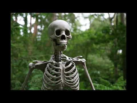 Skeleton Rattling Sound Effect Speed x2