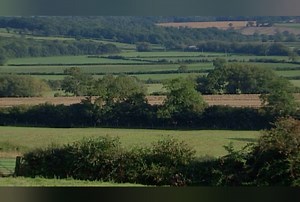 Tractor Ted in Summertime - Tractor Ted, Goes Farming (Series 6, Episode 1) - Apple TV (UK)