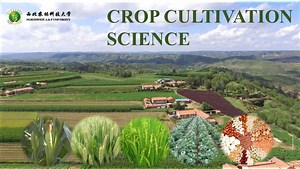 Crop Cultivation Science