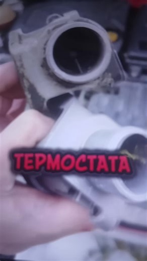 Doctorproffesor (@hamletdoctor)’s videos with оригинальный звук - Doctorproffesor