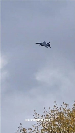 F-15 TOPSIDE DREAM SHOT!!! Awesome USAF F-15 in the Forest RAF Lakenheath #f15 #f15eagle #usaf #jet