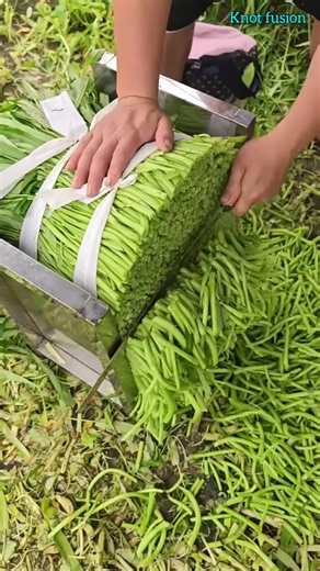 Easy, fast and reliable process of cutting the burlap