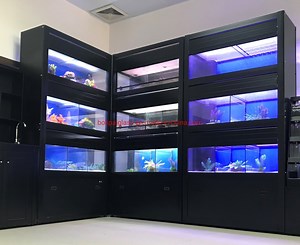 [Hot Item] Custom Commercial Retail Rack Systems 4 Layers Aquarium for Pet Store