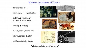 VIDEO: CARTA: Mind Reading: Human Origins and Theory of Mind – What Makes Humans Different?, Brain Imaging Studies, and Mirror Neurons and More
