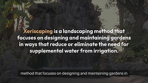 Creating a Xeriscape Garden Drought Tole