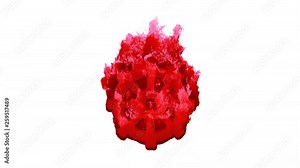 Symbol dharmachakra inflames with dark fire, then burns. In - Out loop. Alpha channel Premultiplied - Matted with color white