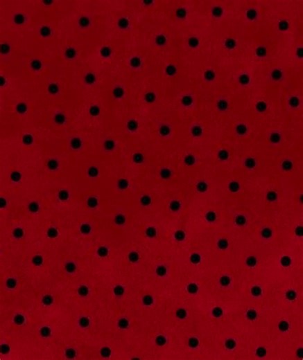 2/2 done lowkey #kadenfumblebottom #jandel #laughability #denisdaily #flamingo