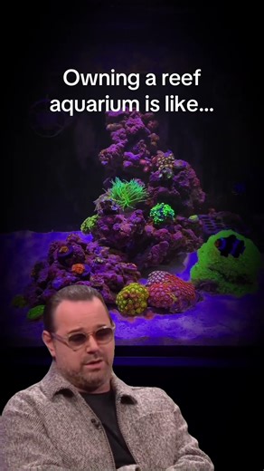 Who else can relate? #aquarium #marineaquarium #saltwaterfix #reefaquarium #fish #saltwateraquarium