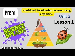 Science Prep 1 Unit 3 Lesson 1 Explained (Second Term)