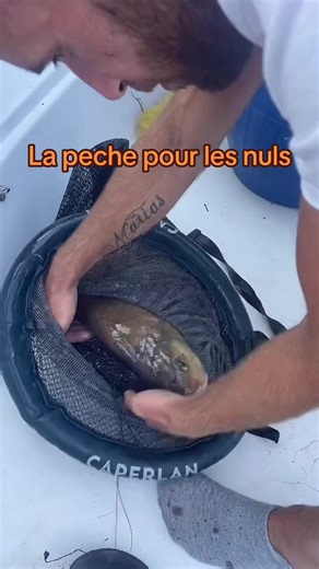 Rediffusion du live en folie#silure #danavicomcrew