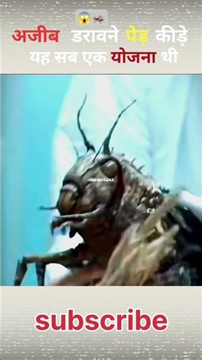 Strange, scary trees and insects — it was all part of a plan.”🦗🤯😱#shorts "