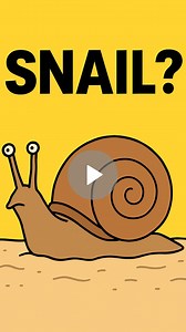 Huge, shell-less snails that hide under sand are typically sea slugs (a type of gastropod called nudibranchs) rather than true land snails. These soft-bodied mollusks bury themselves beneath the sand to avoid predators, regulate body temperature, and ambush small prey such as worms or crustaceans. Without a protective shell, they rely on camouflage, toxic secretions, or foul-tasting chemicals for defense. Their flexible bodies allow them to flatten and glide beneath the surface, making them near