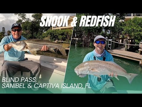 Fishing for BIG Snook and Redfish with Live Pinfish | Fishing Blind Pass Docks and Mangroves