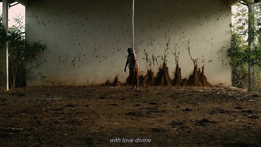 Burning Birds - Trailer